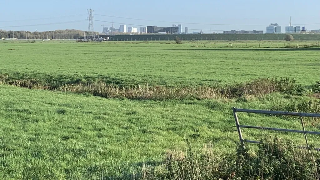 rijnenburg