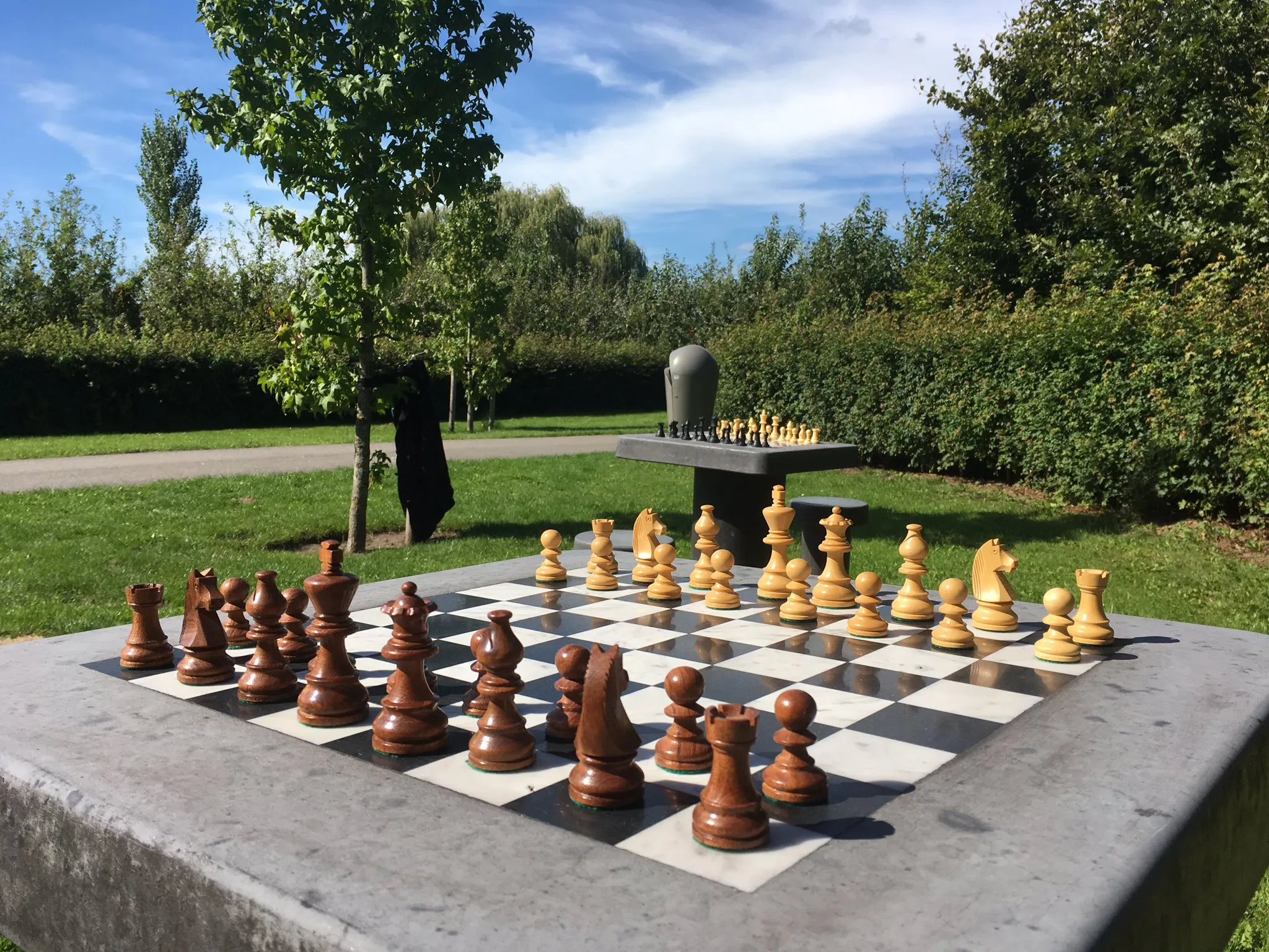 schaaktafels maximapark