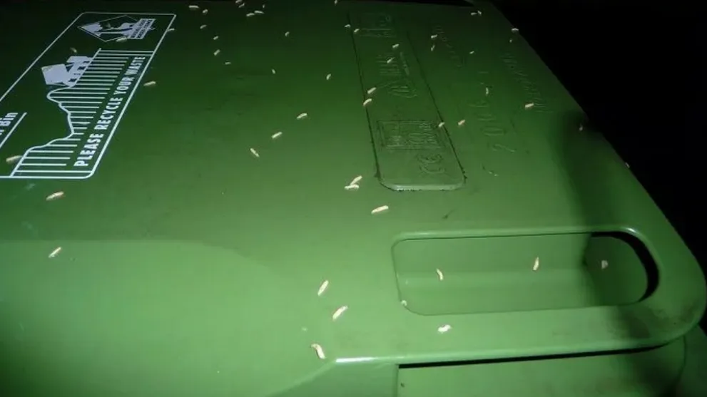 schermafdruk 2017 07 11 110630