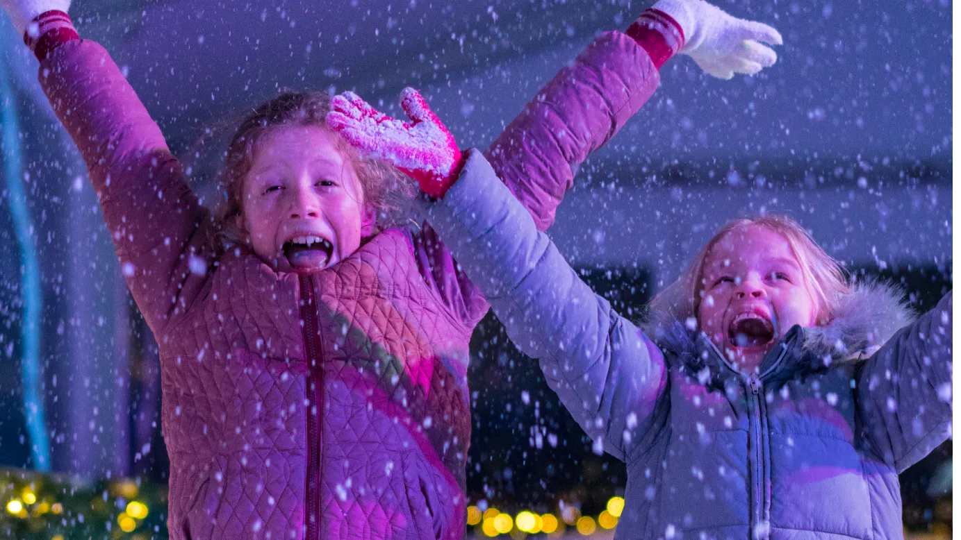 schermafdruk 2018 12 04 112623