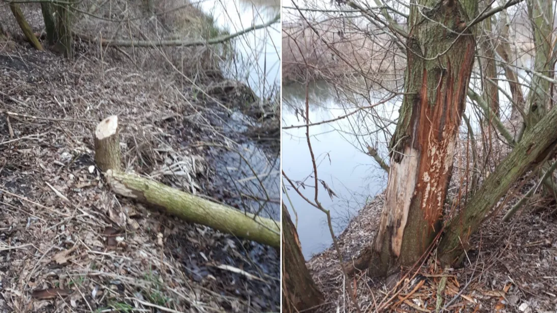 schermafdruk 2019 02 18 163352