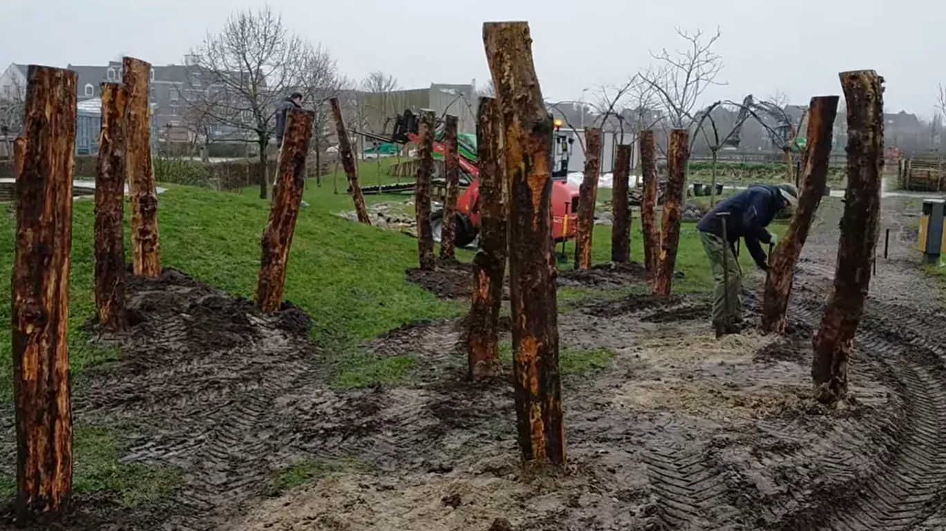 speeltuin steede hoge woerd