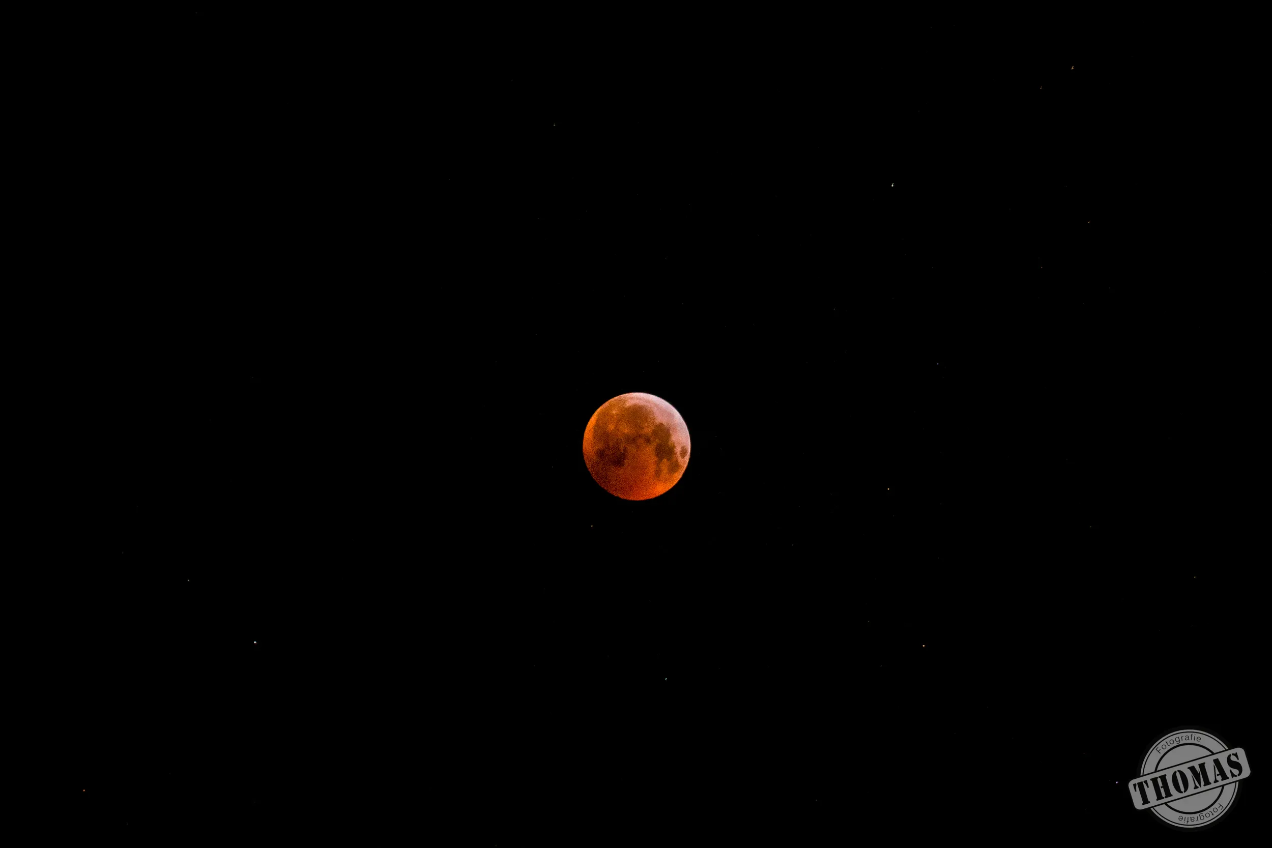 thomasjongbloedfotografie superbloedwolfmaan marked 02