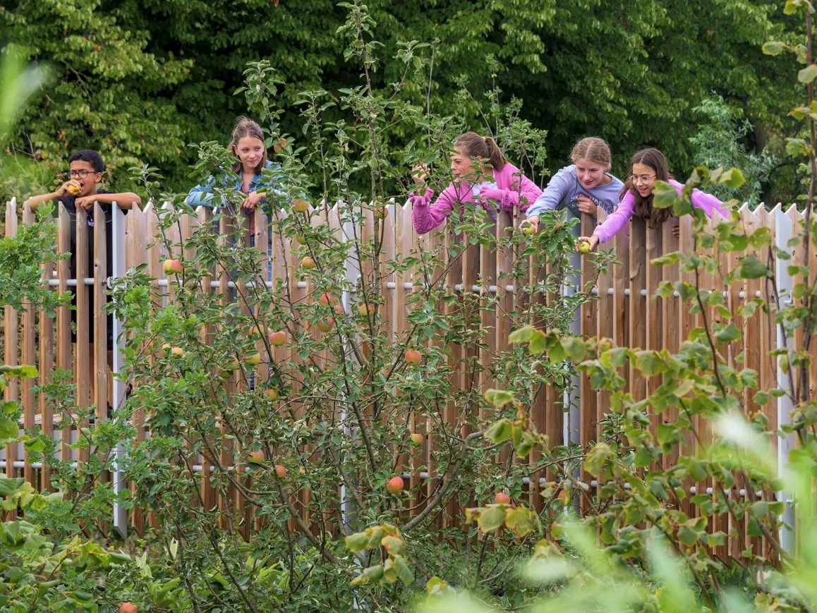 utrecht kunstwerk dichter bij de boom 2953 c dirk verwoerd