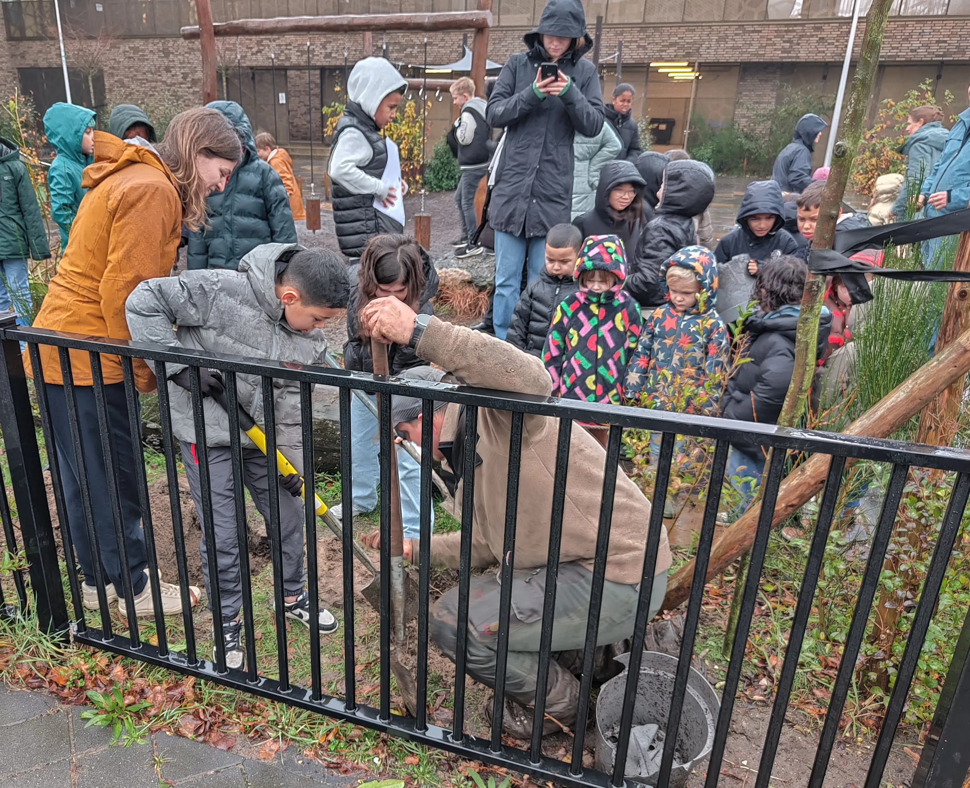 vergroenen schoolpleinen img20241127095322