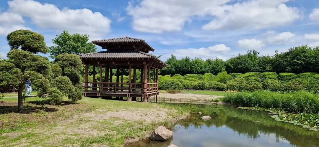 20250611-123048-68498f3ce3f38