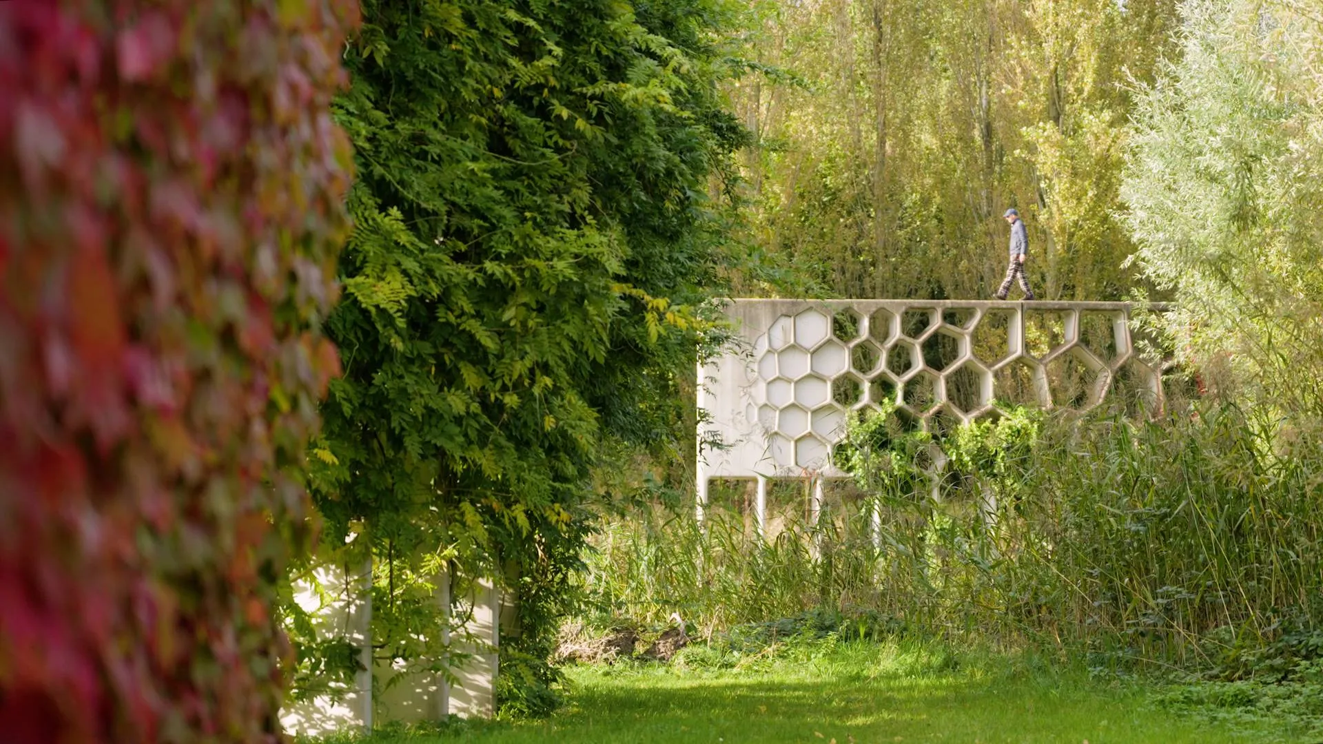 Still Film Maximapark_Adriaan Geuze op Pergola_Copyright Hans den Hartog