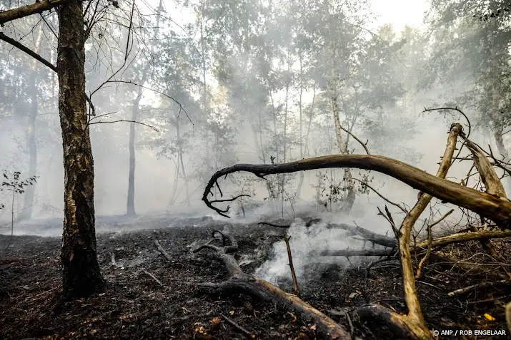 anp040826049 1
