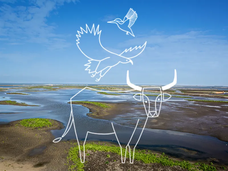 audioreis nieuw land oostvaardersplassen