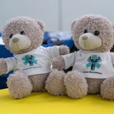 beertjes 1 st jansdal