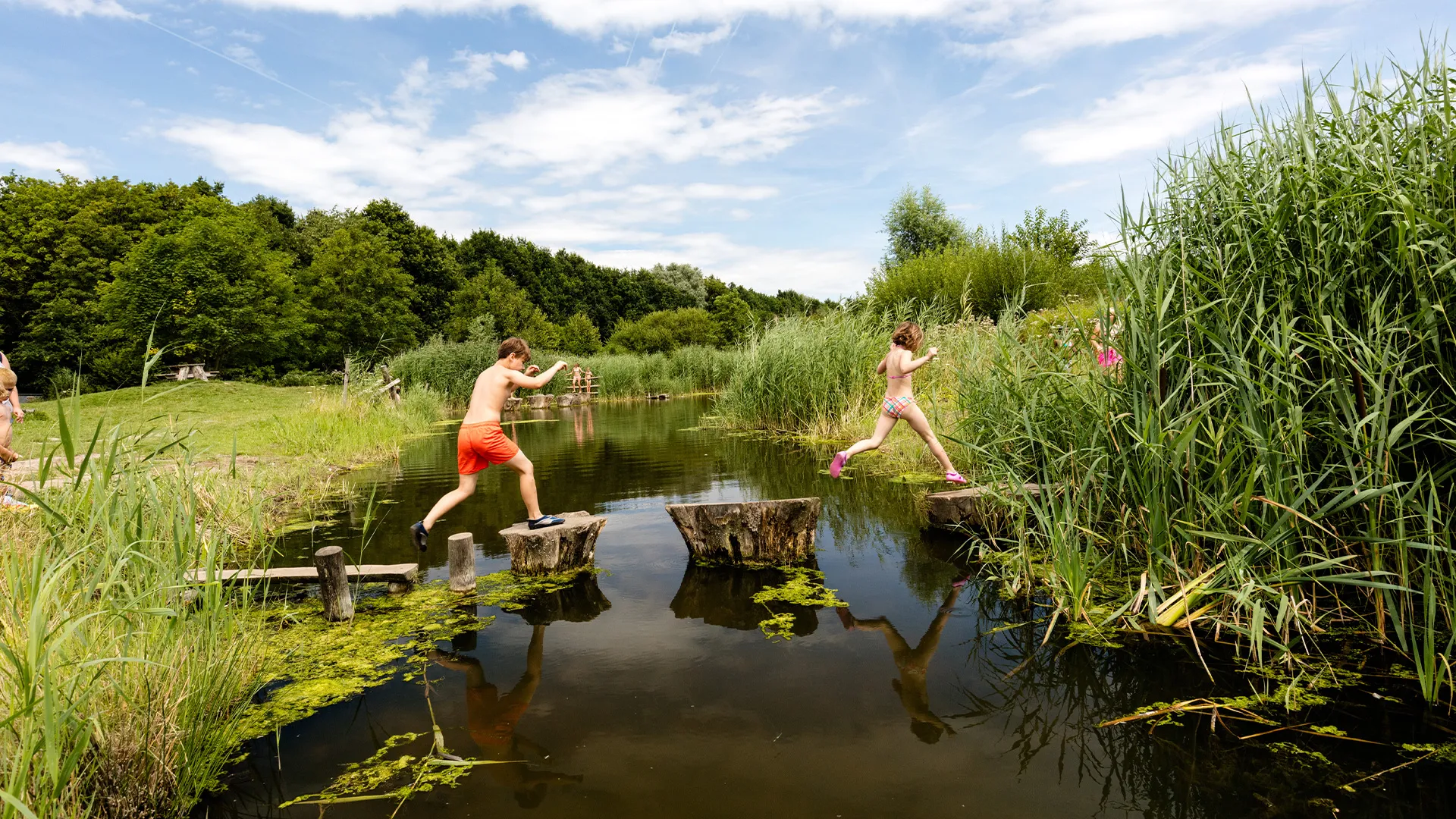 belevenissenbos prov flevoland