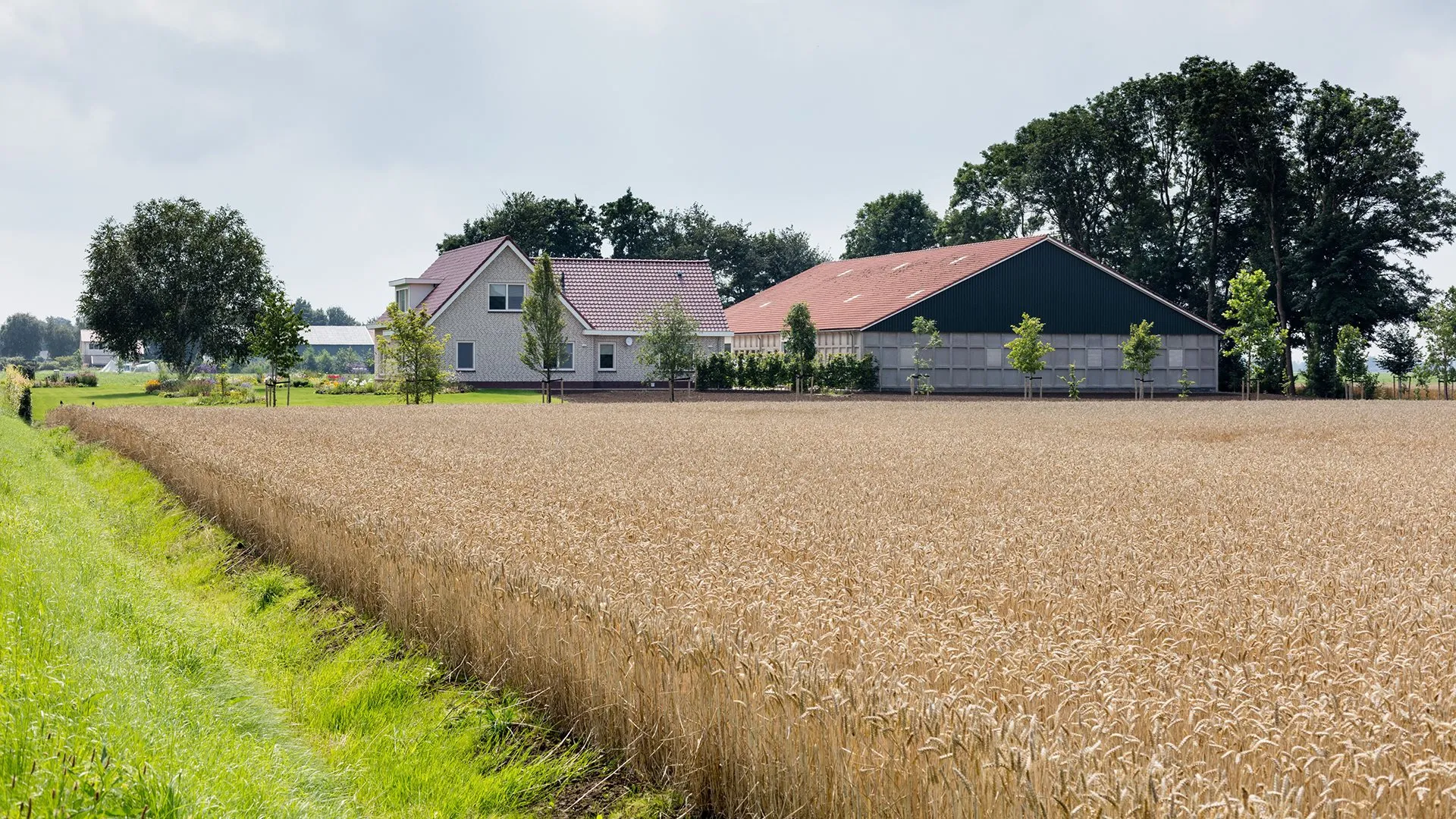boerderij met gewassen