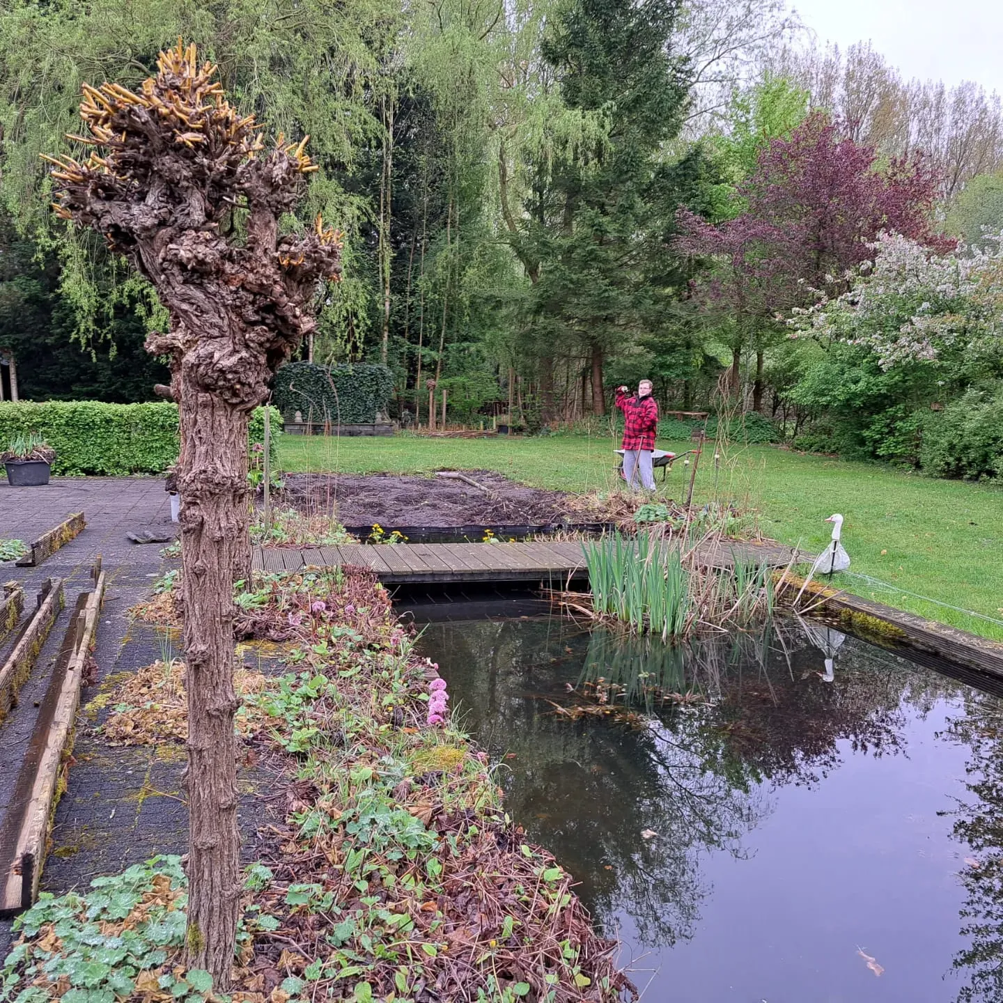 buiten gewoon zorgboerderij buiten gewoon fb