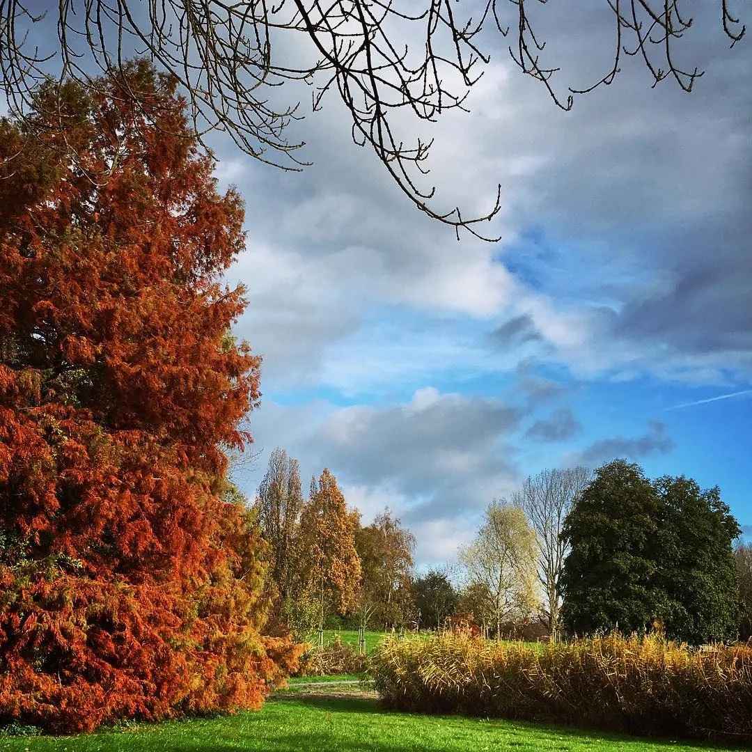 bultpark herfst