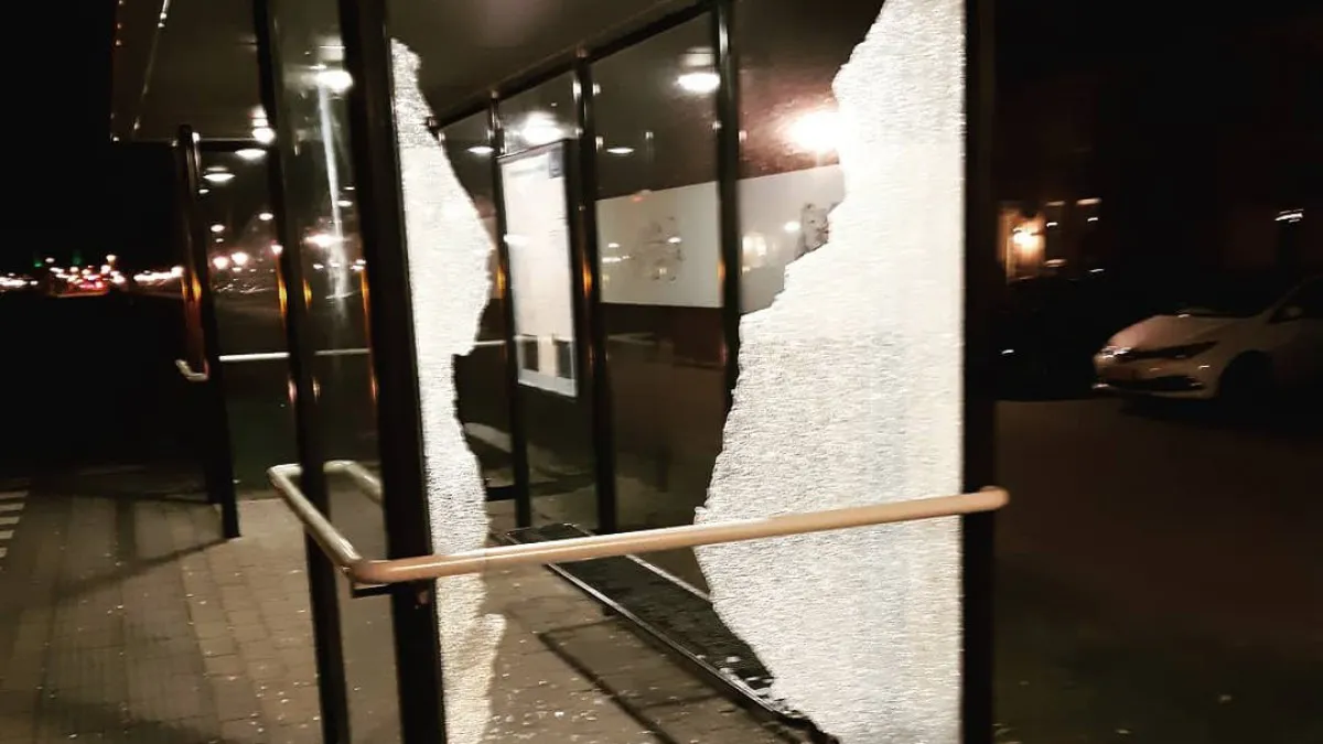 bushokje vernield