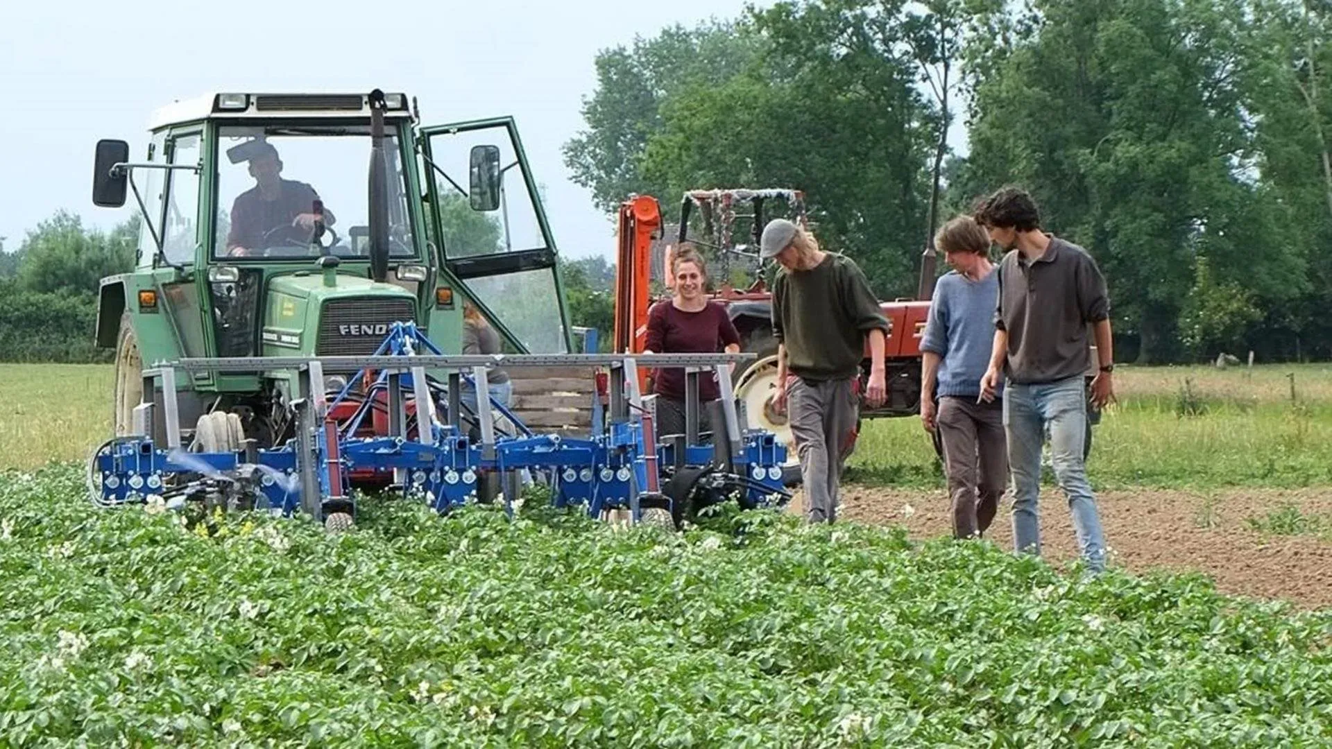 colorado beetle catcher in actie prov flevoland