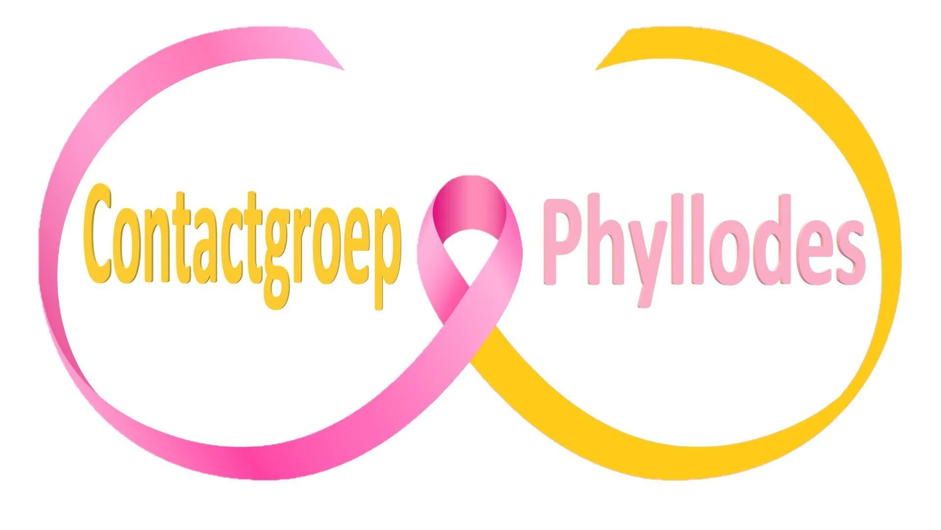contactgroep phyllodes