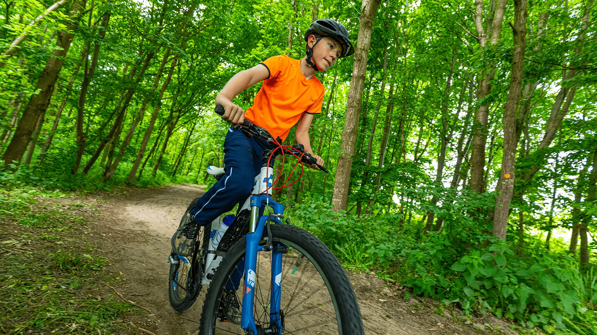 crossen door de bossen