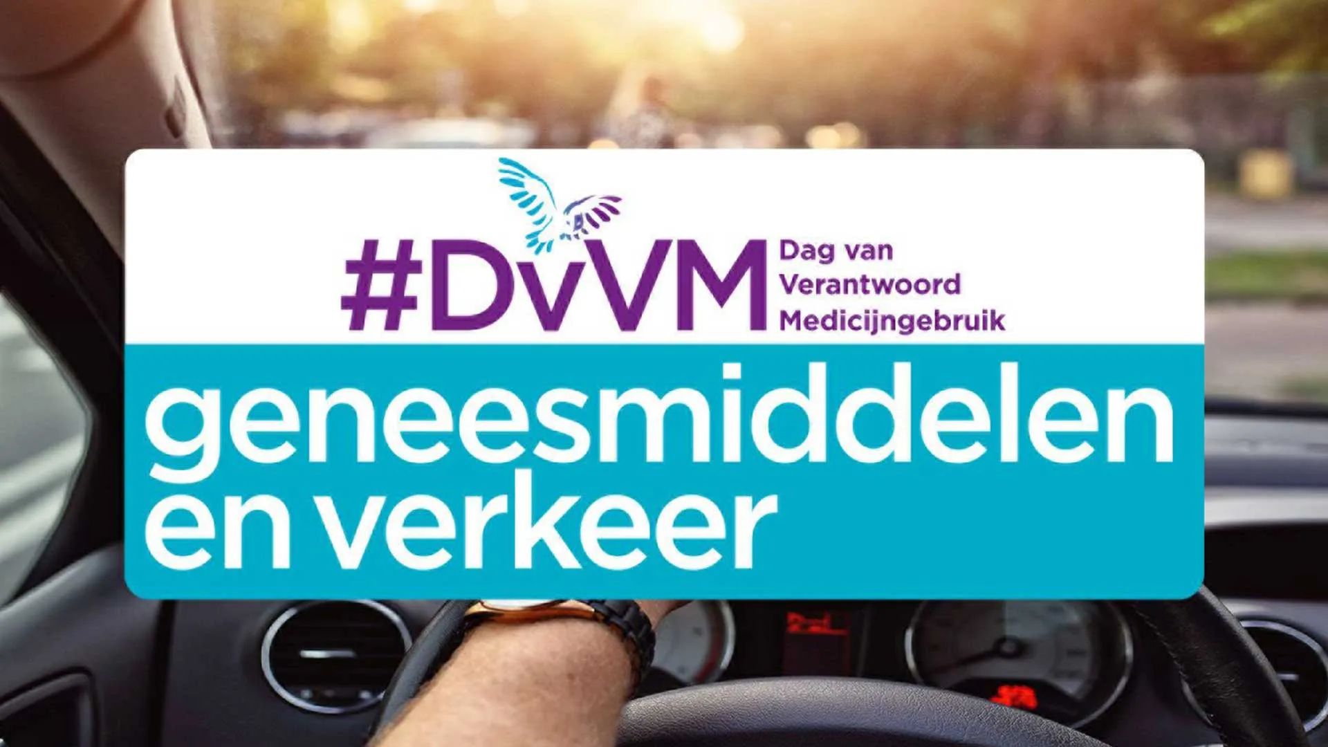 dvvm auto