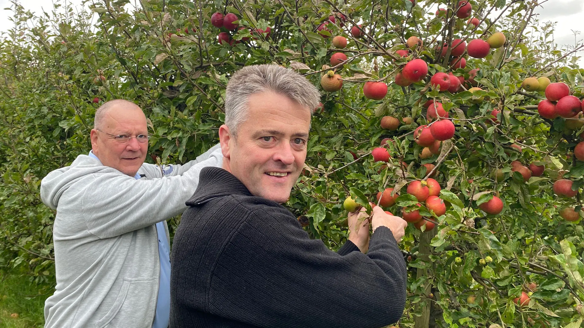 gedeputeerden plukken appels prov flevoland