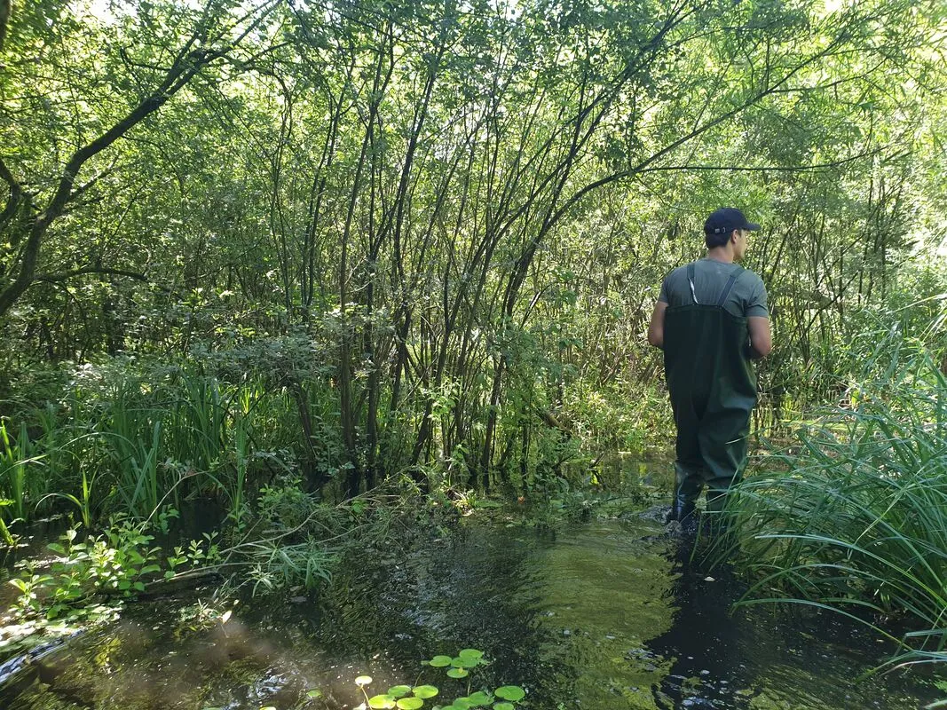 groen traineeship landschapsbeheer flevoland