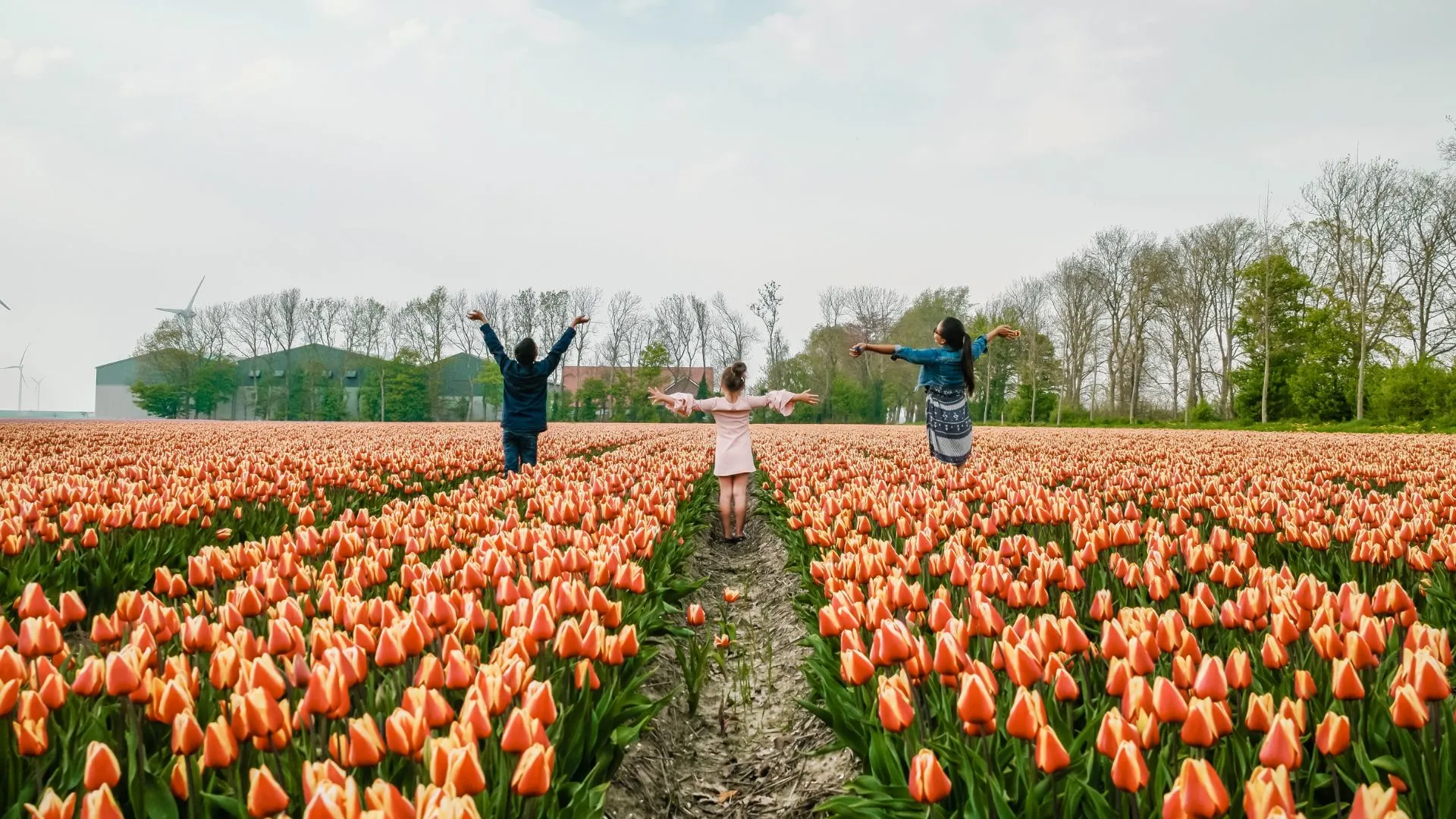 kinderen in tulpenveld prov flevoland