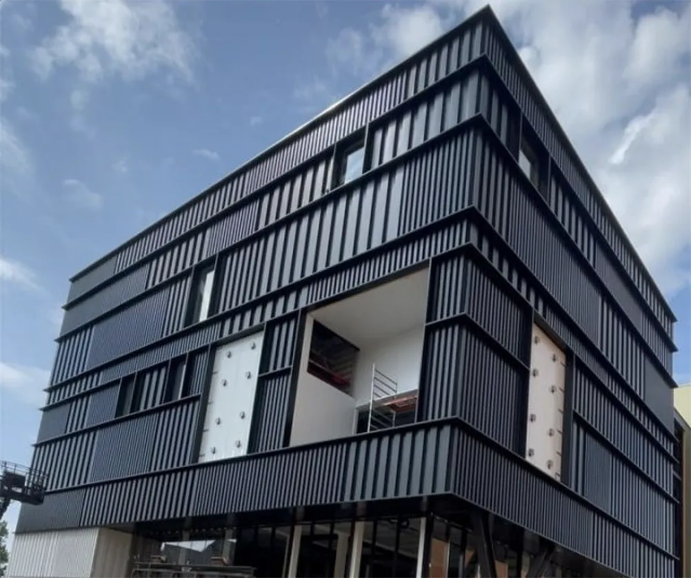 kok cinemaxx lelystad