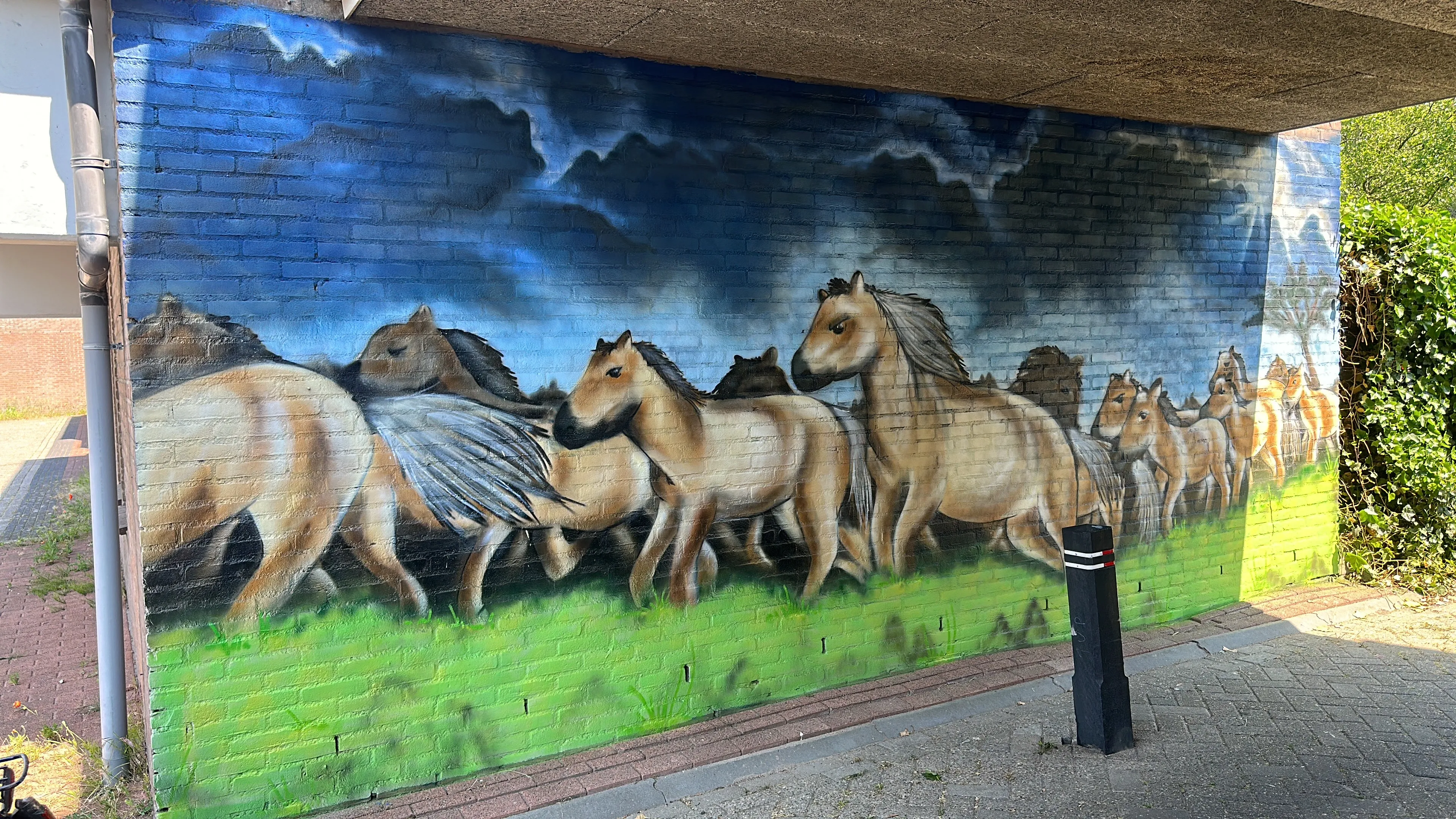 konikpaarden in tunneltje remon koreman