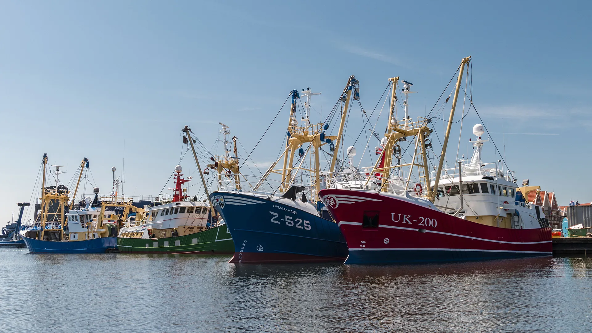 kotters op urk prov flevoland