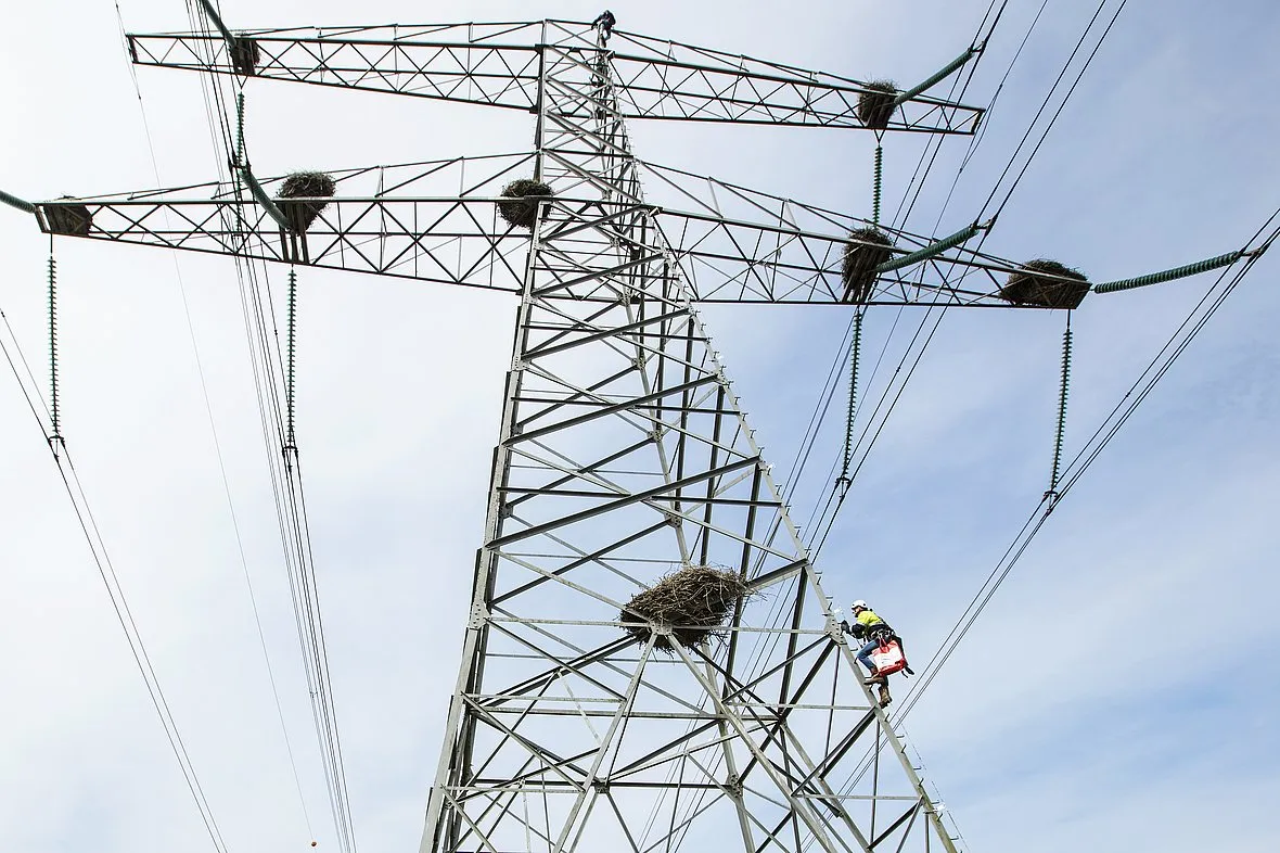 lelystad hoogspanning