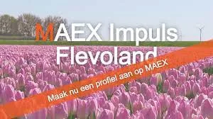 maex impuls flevoland