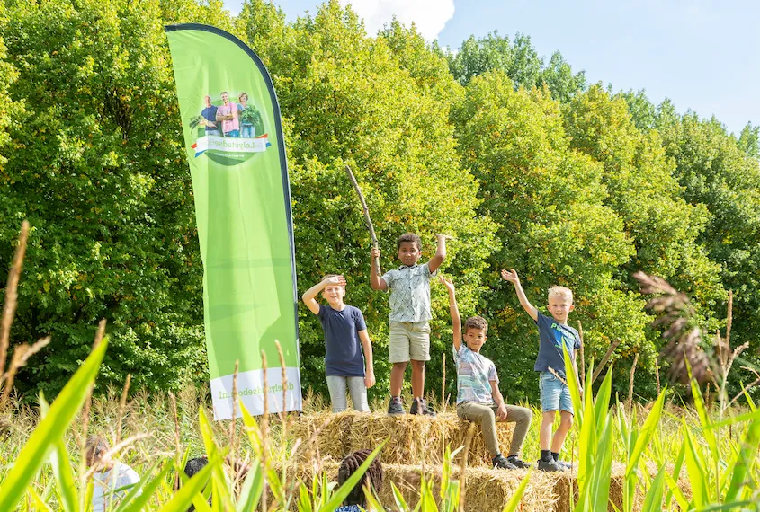 maisdoolhof lelystad