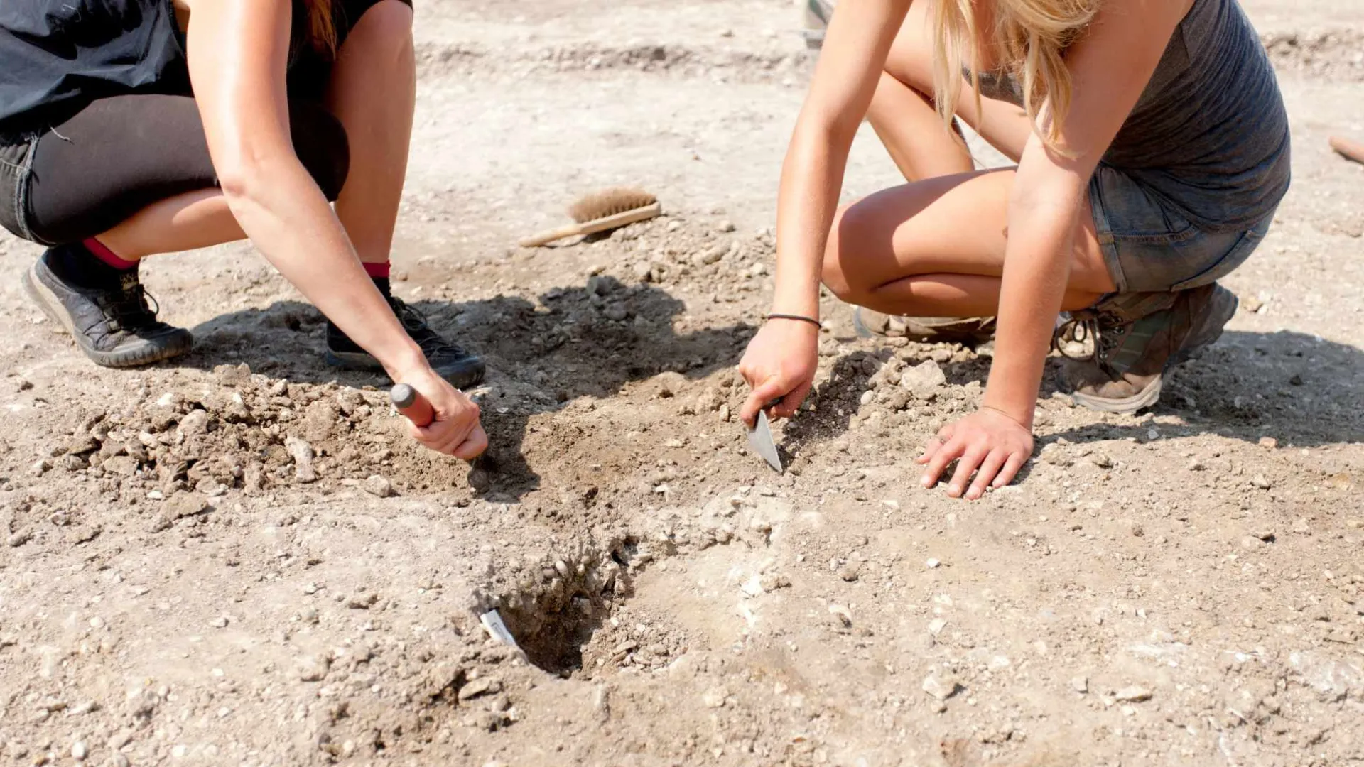 nationale archeologiedagen flevoland prov flevoland
