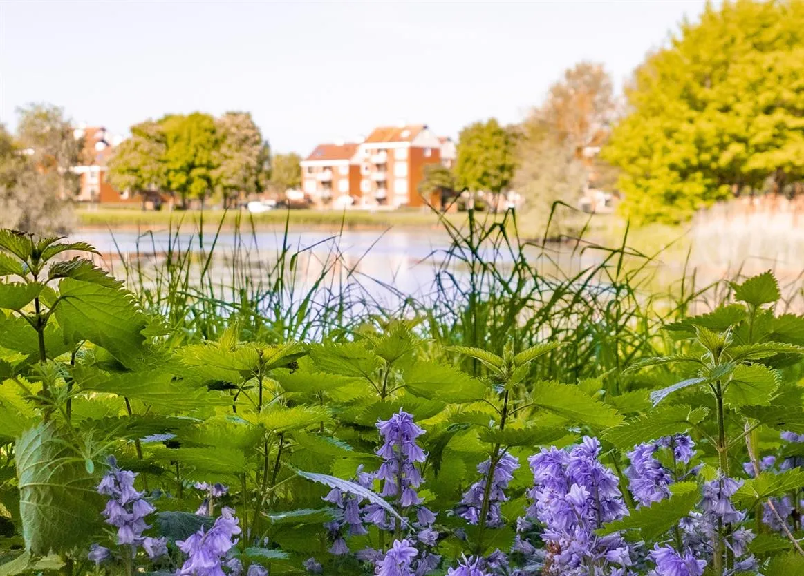 natuur lelystad gem lelystad