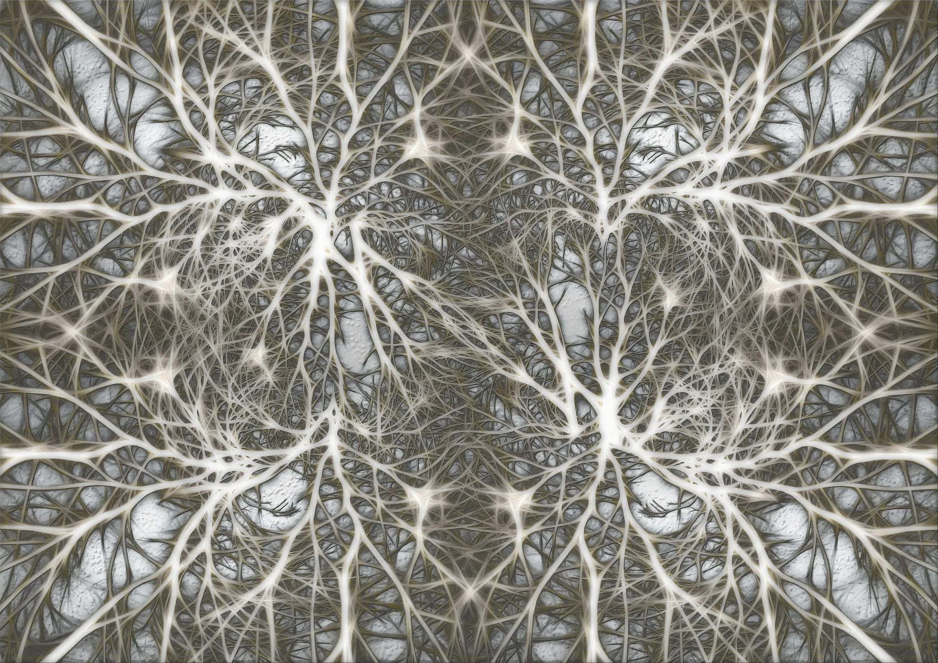 neuronen hersenen