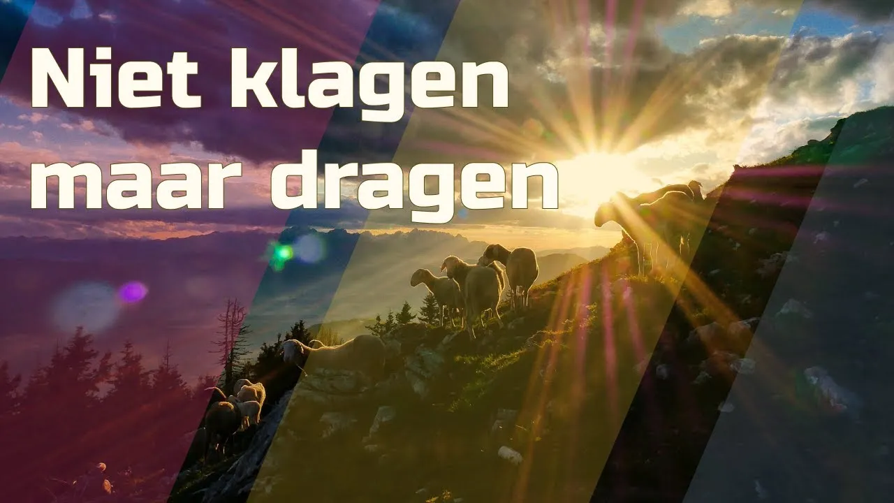 niet klagen maar dragen