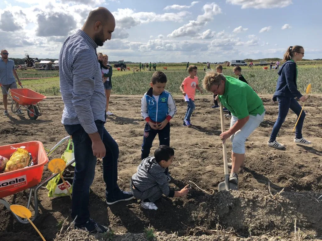 oogstdag schoolkinderen de lelystadse boer