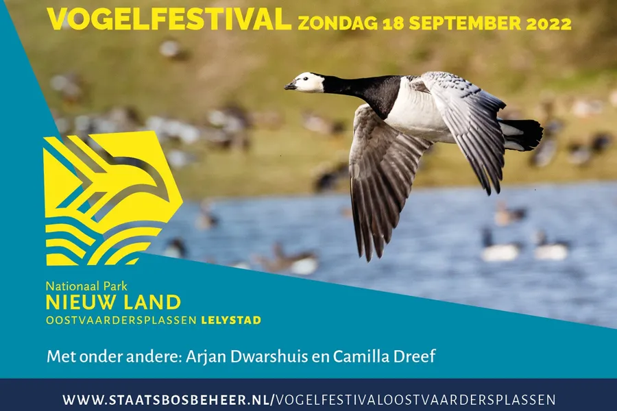 oostvaardersplassen vogelfestival1
