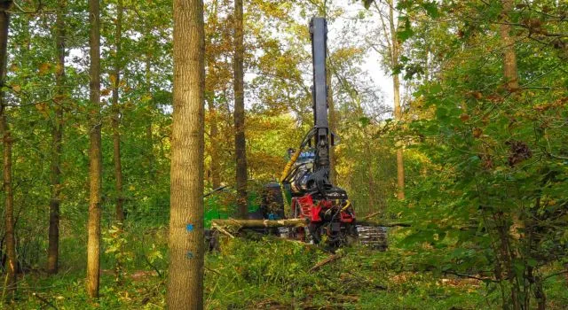 oostvaardersplassen werkzaamheden