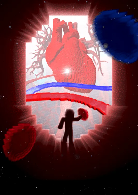 operation aorta 1 sanquin