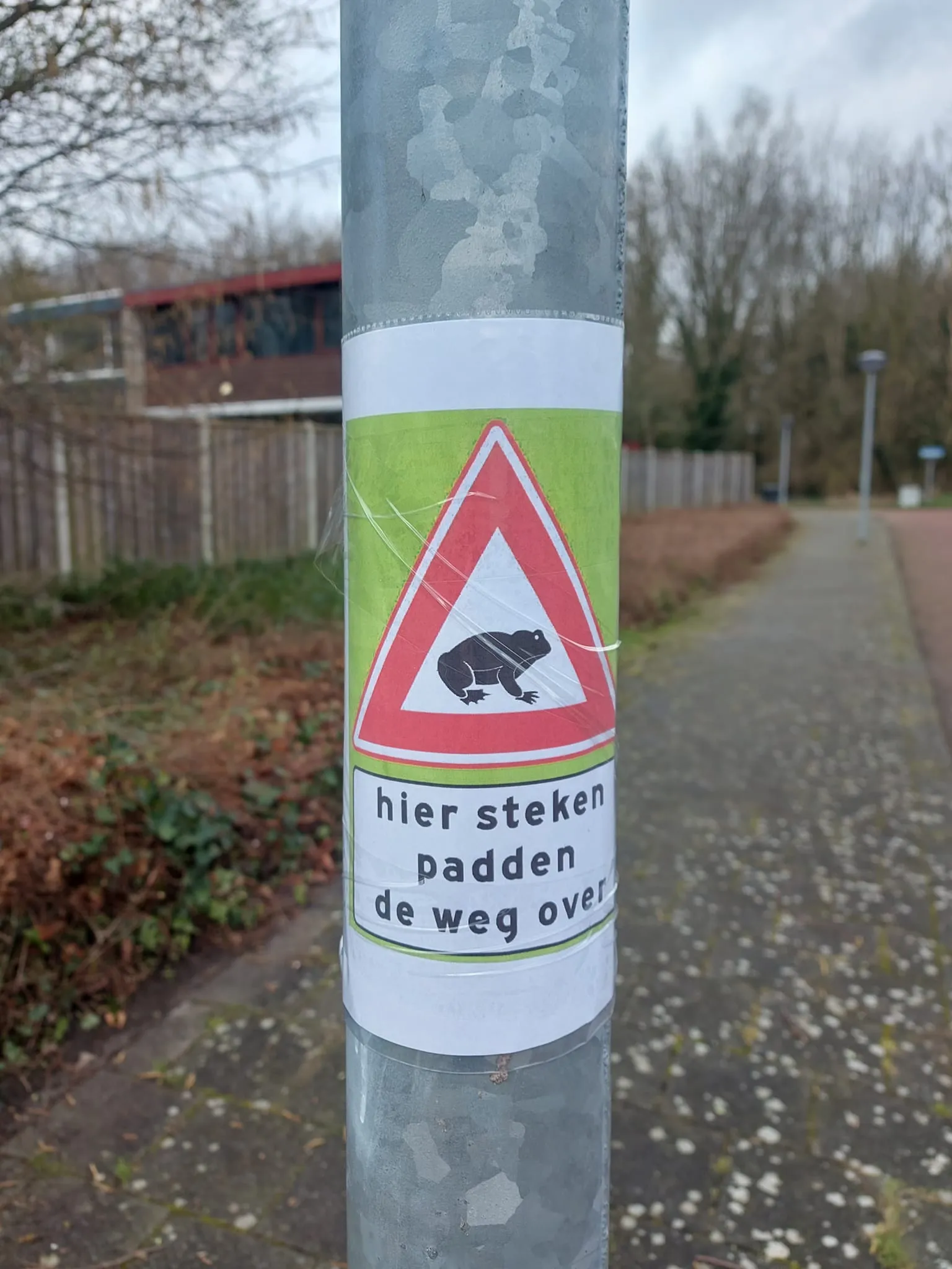 overstekende padden paddenredders zuiderzeewijk fb