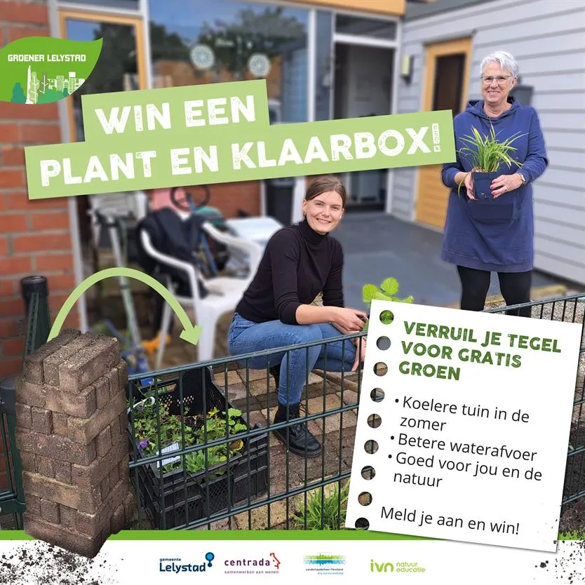plant en klaarbox gem lelystad