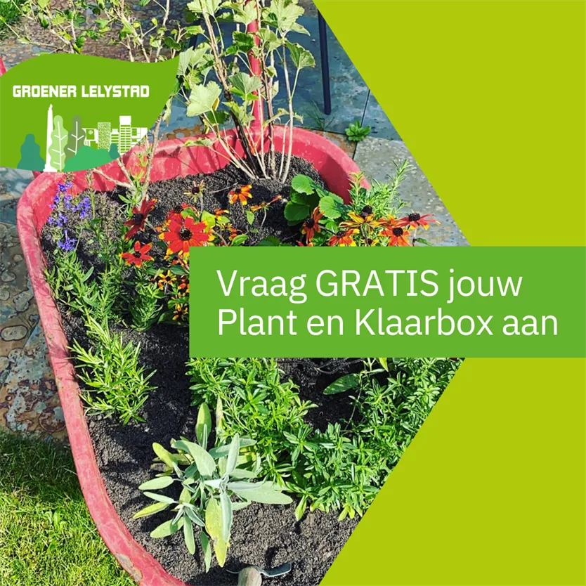 plant en klaarbox