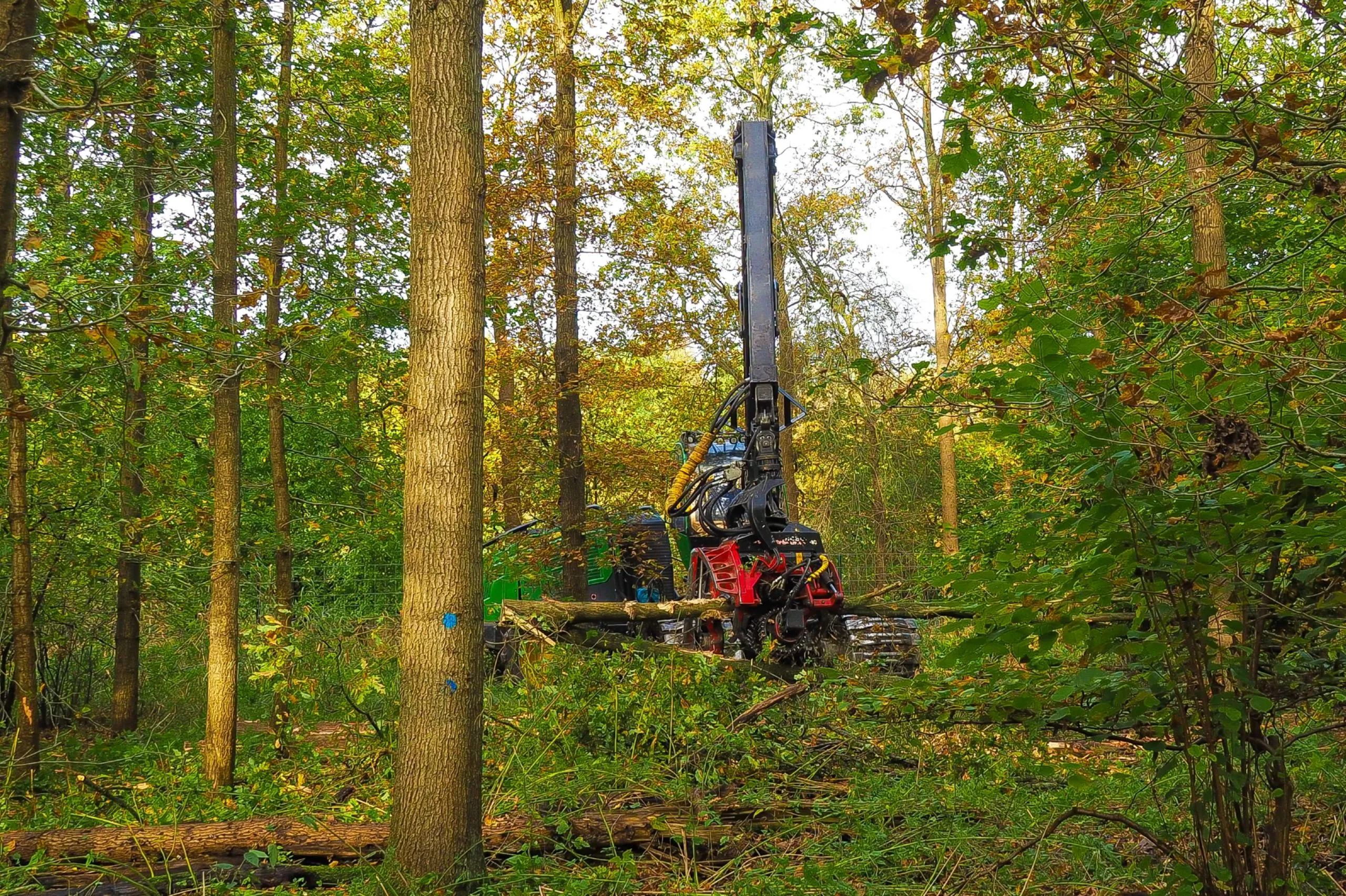 poortgebied oostvaardersplassen lelystad