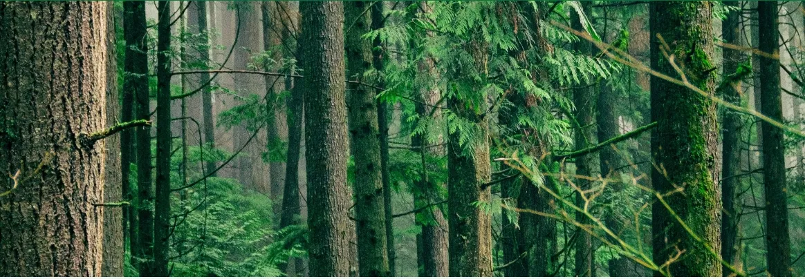 ruimte voor de natuur partij voor de dieren