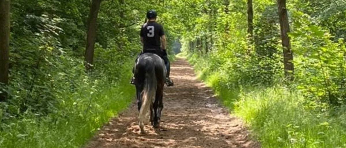 ruiterpaden en routes