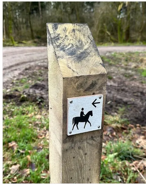 ruiterroute paarden platform lelystad