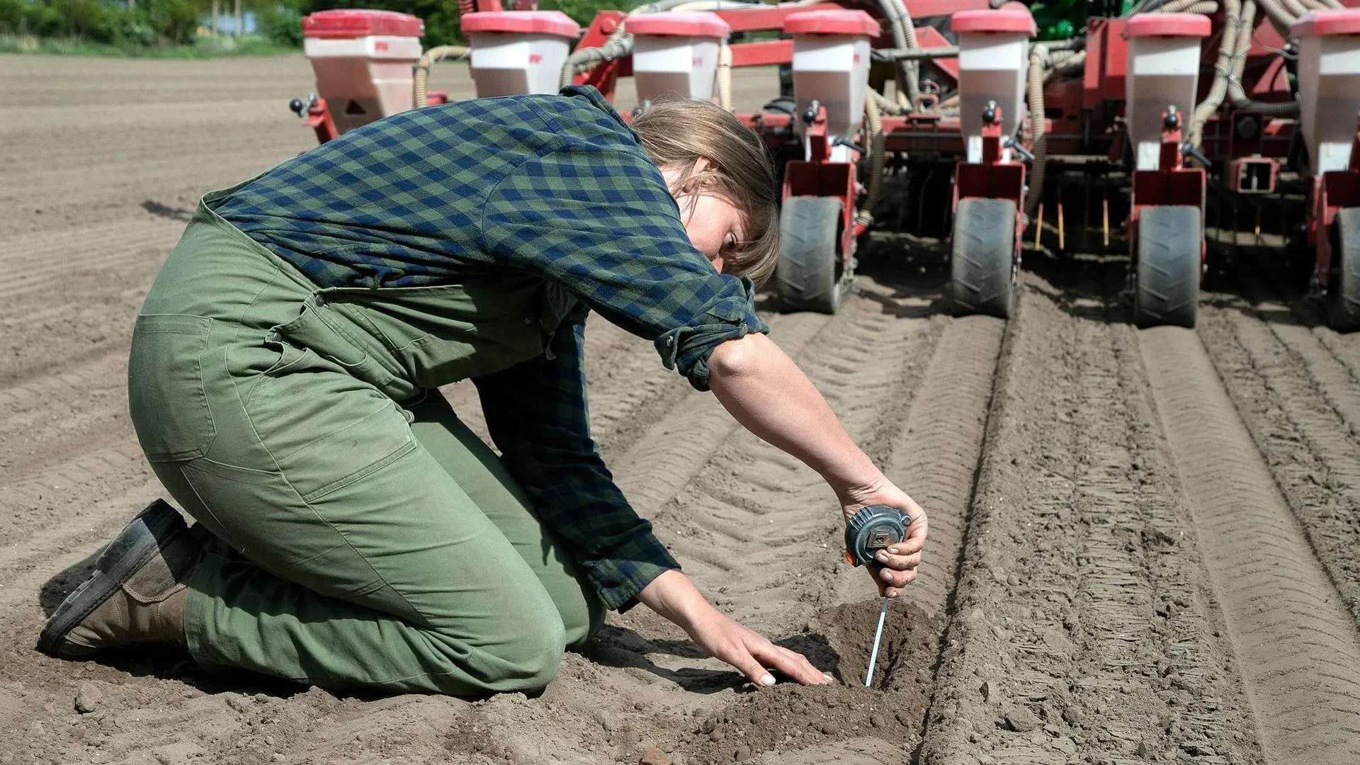 sojaboontjes prov flevoland