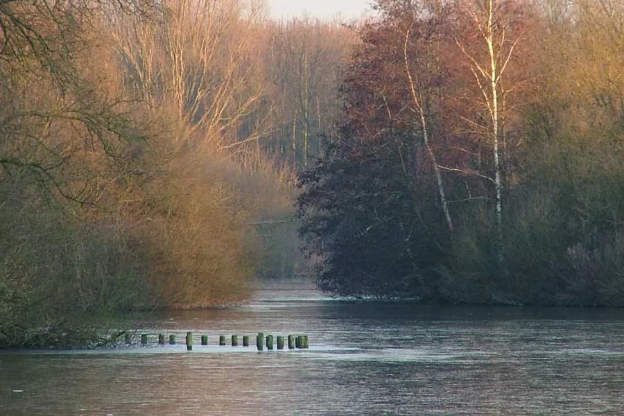 stadsbossen lelystad sloot