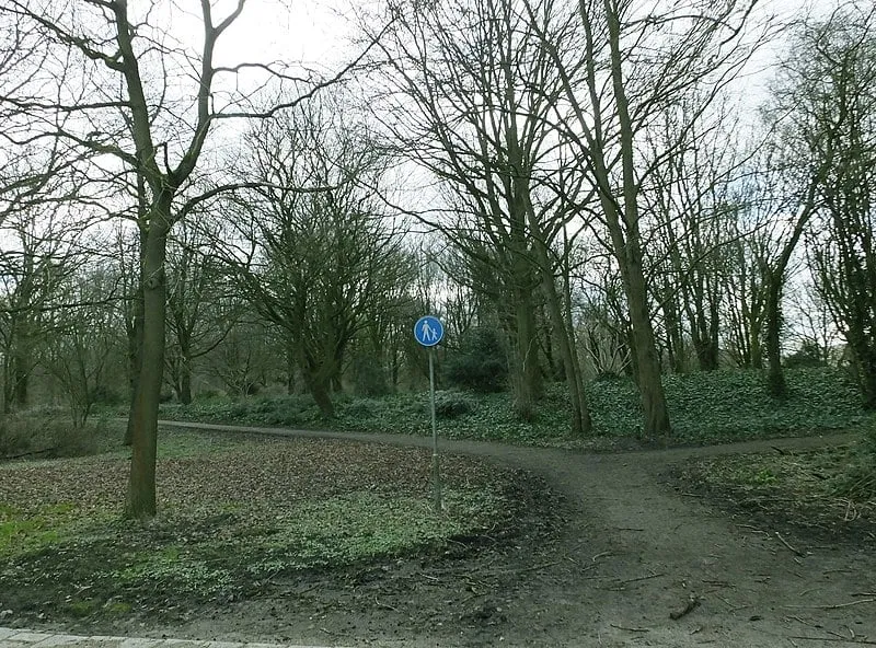 stadspark lelystad winter wikimedia commons panek